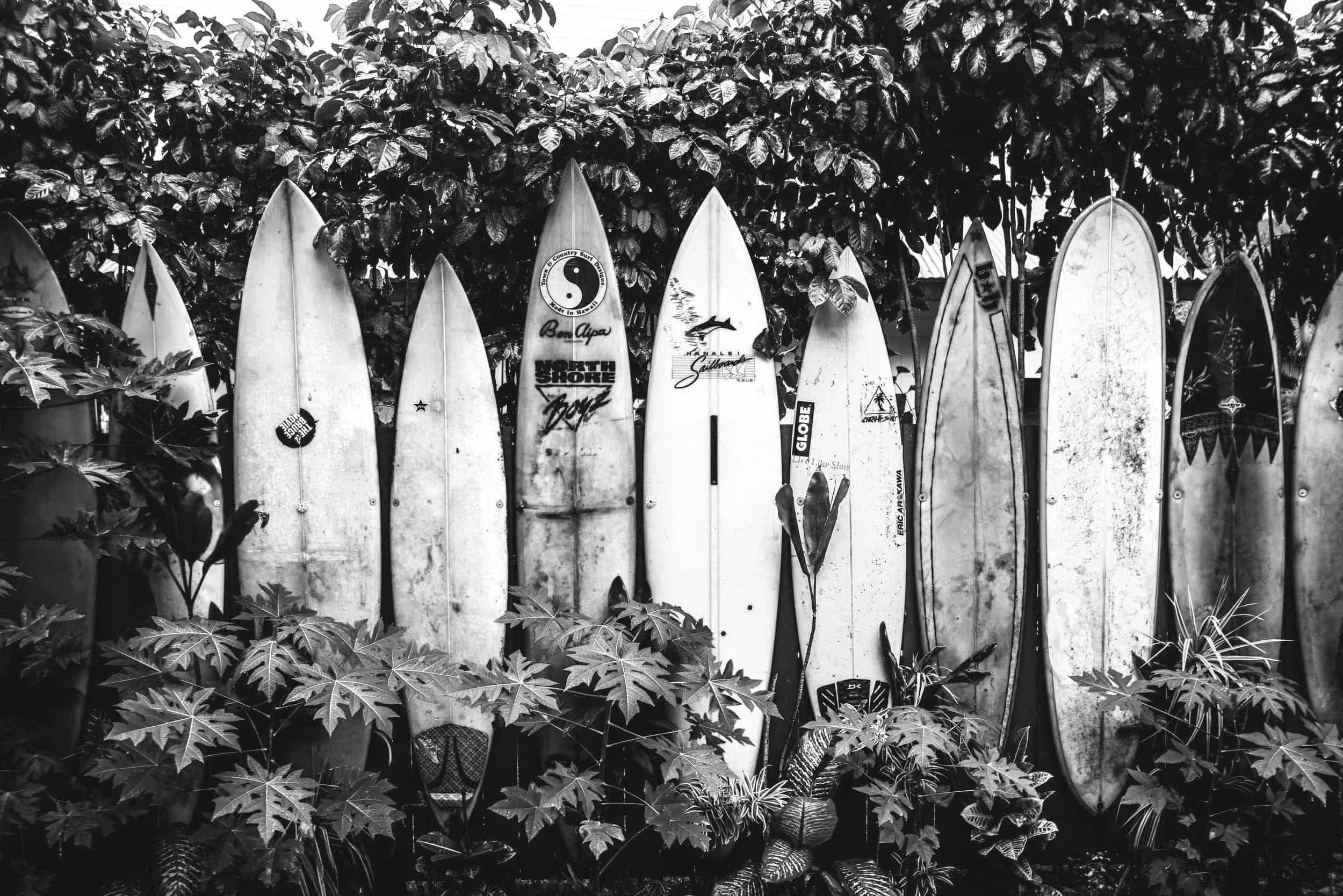 Maui Braces supporting the local Maui community